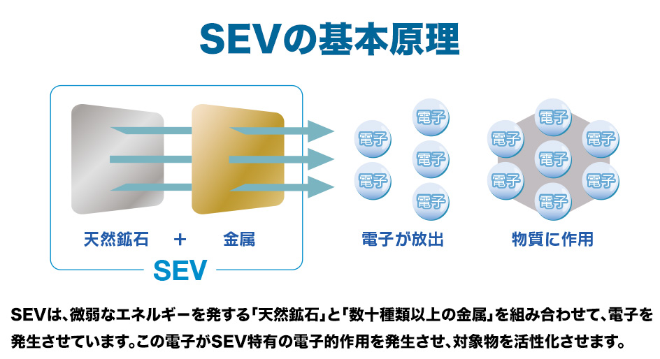 SEVの基本原理 