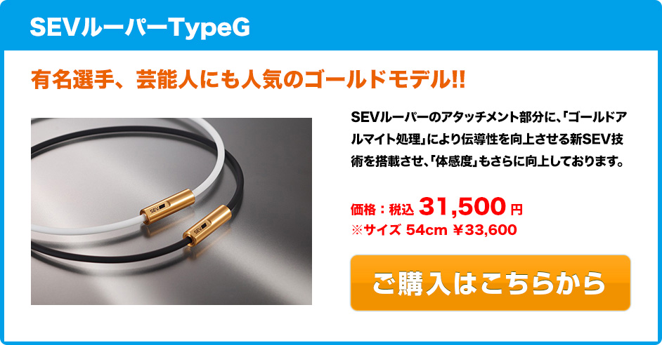 SEVルーパーTypeG 